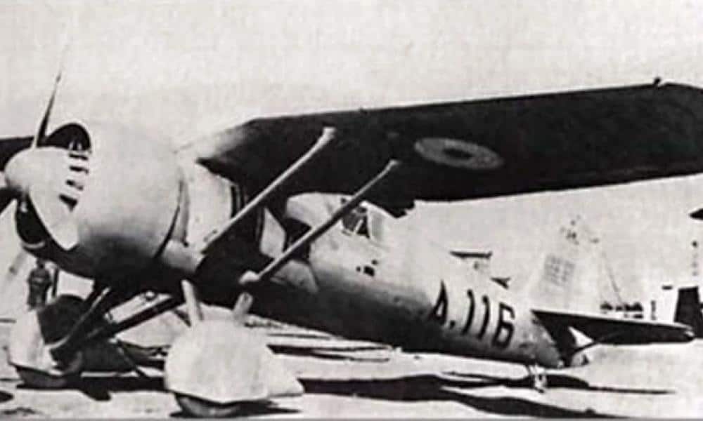 pzl