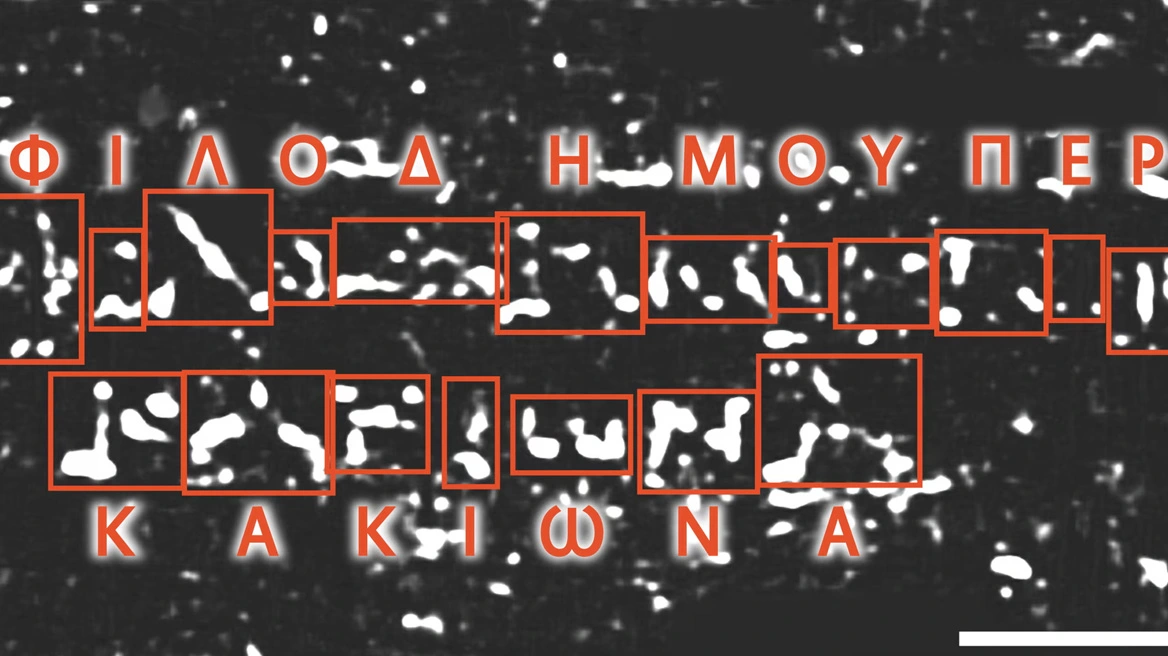 xrwma pomphia